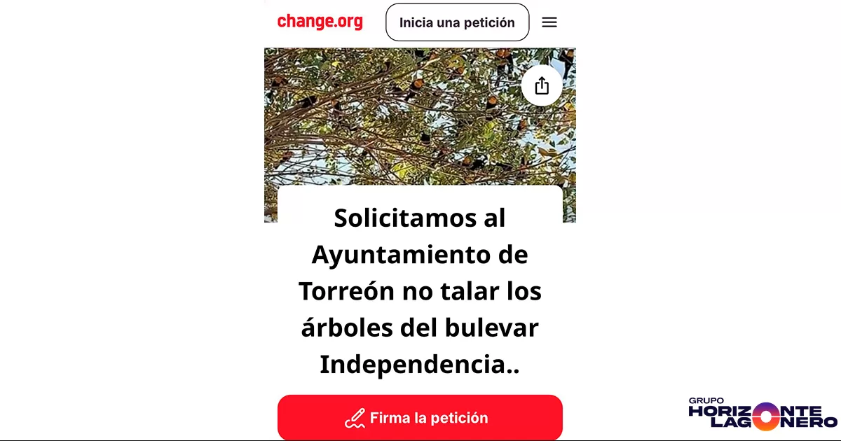 La iniciativa ciudadana argumenta que estos árboles no solo forman parte del paisaje urbano, sino que también cumplen funciones ecológicas fundamentales como la generación de sombra, la captura de contaminantes y la preservación de hábitats para aves y otras especies.