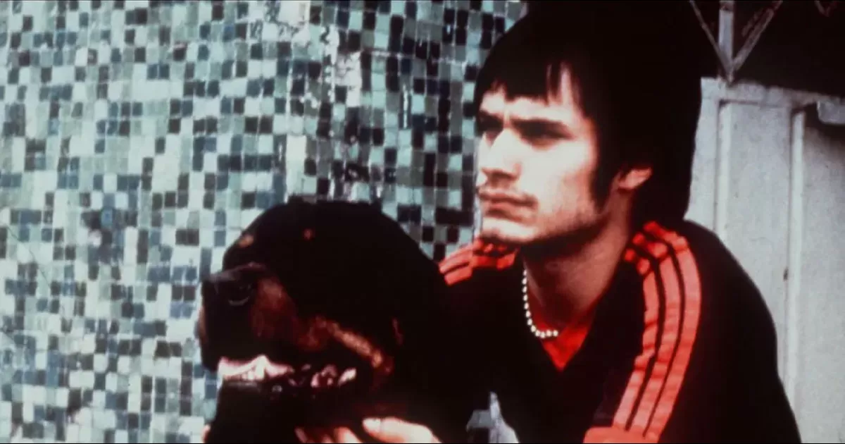 'Amores Perros' celebra su aniversario con una nueva versión en 4K; será proyectada en la Cineteca Nacional
