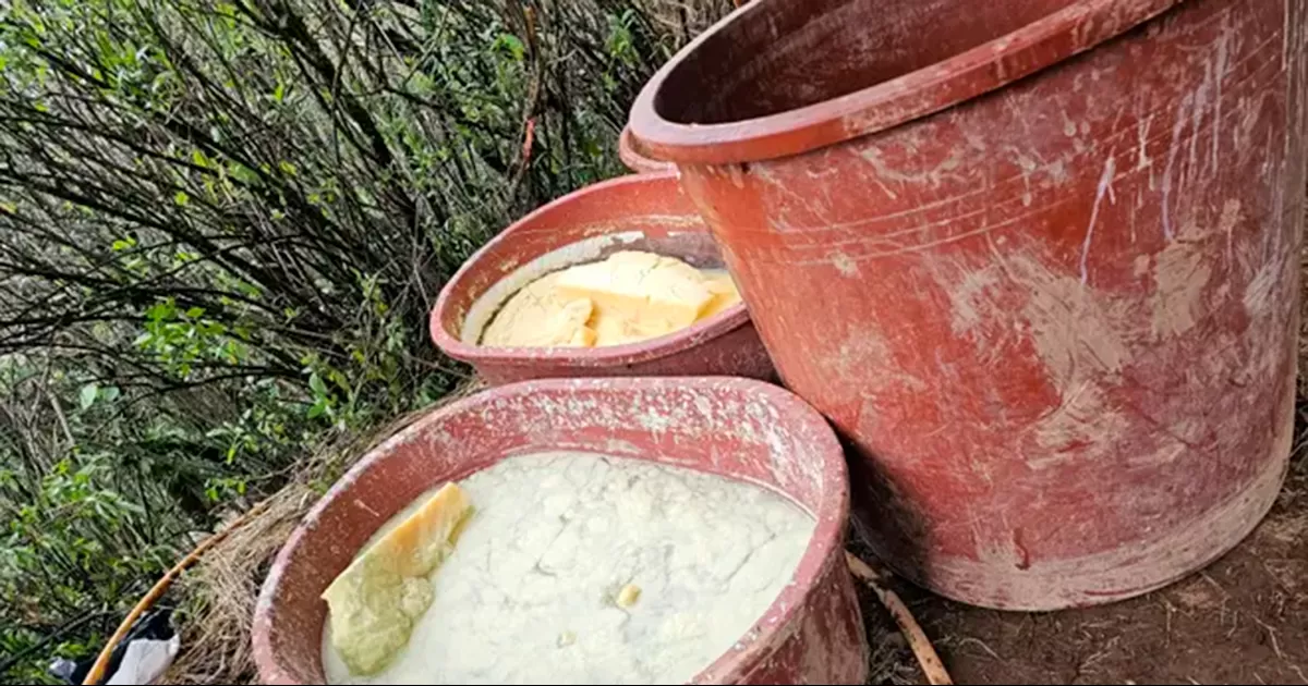Hallan narcolaboratorio en el Edomex; aseguran bidones y precursores químicos