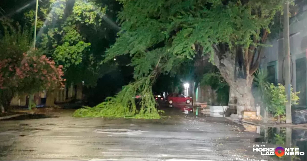 Asimismo, destacó el buen desempeño del sistema de drenaje pluvial recientemente instalado en el bulevar J. Rebollo Acosta, el cual evitó encharcamientos en esta importante vialidad