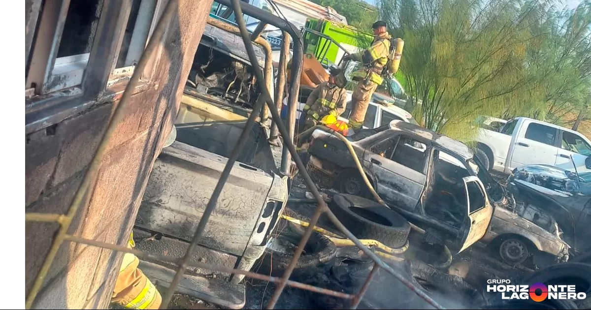 El siniestro fue reportado a las 17:34 horas, movilizando de inmediato a las unidades de Bomberos y Protección Civil, el fuego fue combatido por los flancos oeste y norte del predio.