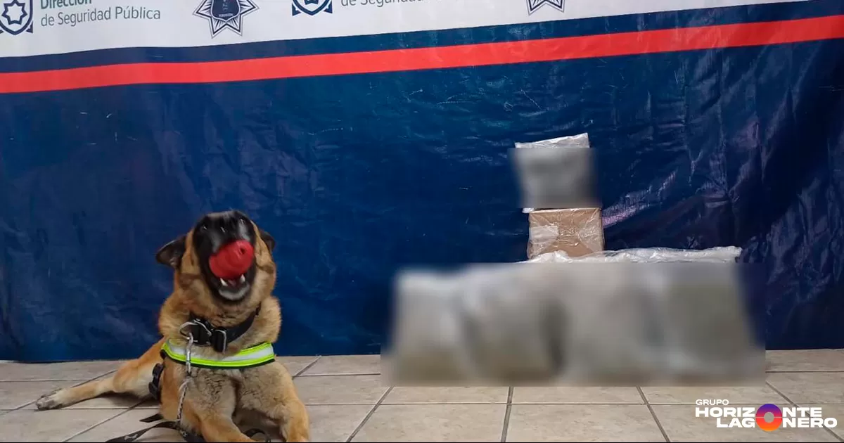 Durante el operativo, los agentes fueron recibidos por el encargado de operaciones del lugar, quien brindó acompañamiento a los oficiales en todo momento