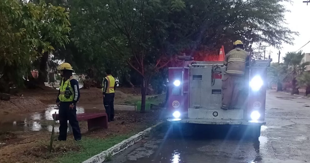 Se mantienen en alerta también el DIF Torreón, Desarrollo Social y Atención Ciudadana, para apoyar a las personas que se vean afectadas en sus viviendas