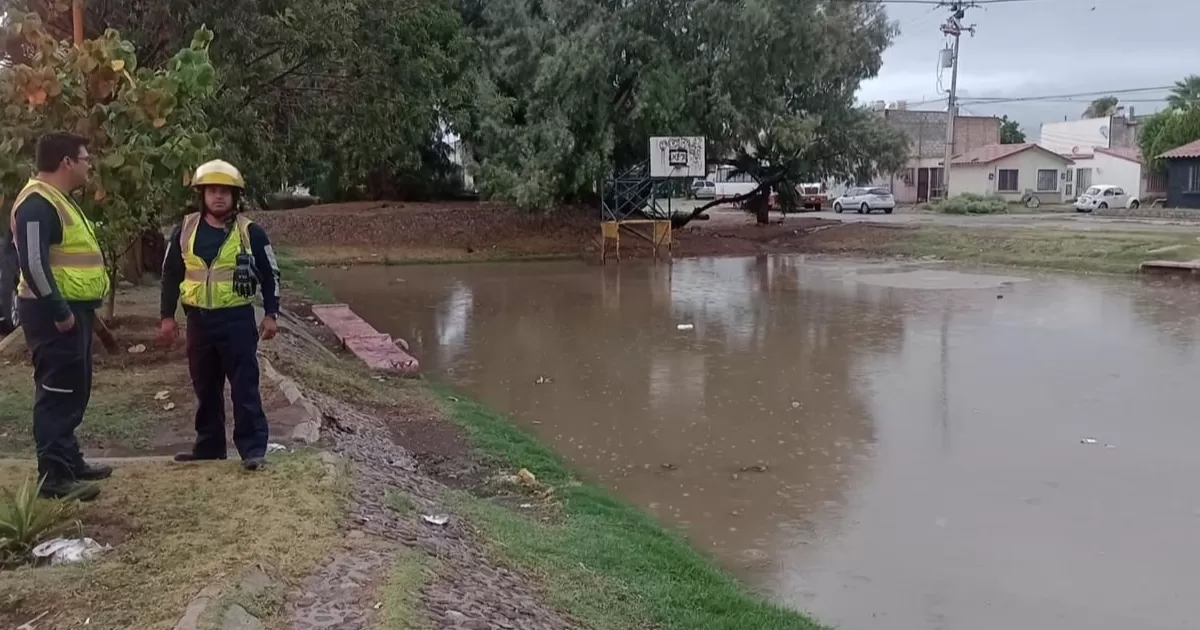 Diversos sectores de la Comarca Lagunera presentaron lluvia de intensidad moderada, y en el oriente de Torreón incluso se reportó la caída de granizo de pequeño tamaño.