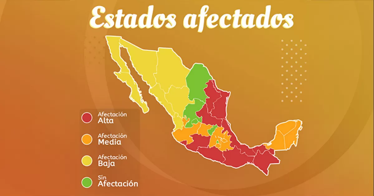 Más de 10 estados saldrán afectados por la canícula, que comenzará el próximo 3 de julio.