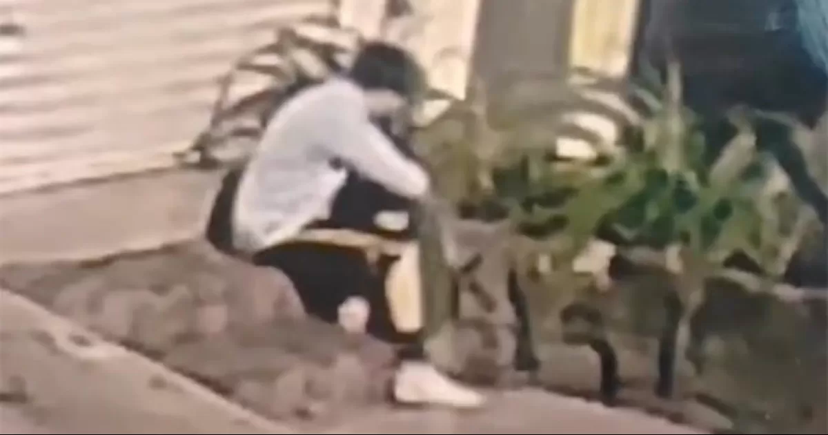 Hallan feto en etapa avanzada de gestación en jardinera de Tlalpan; activan protocolo de seguridad