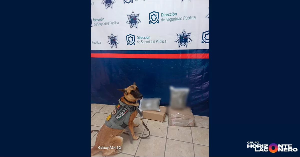 El peso aproximado del contenido fue de 1,200 gramos, con un valor estimado en el mercado de 32,000 pesos mexicanos