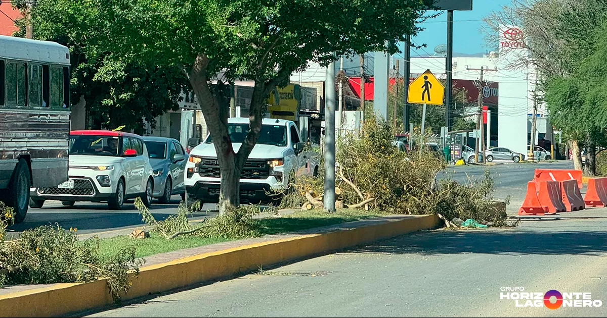La petición, difundida a través de la plataforma Change.org fue impulsada por colectivos ambientalistas, vecinos del sector y ciudadanos preocupados por los efectos de las obras viales que se realizan en esta importante arteria de la ciudad.