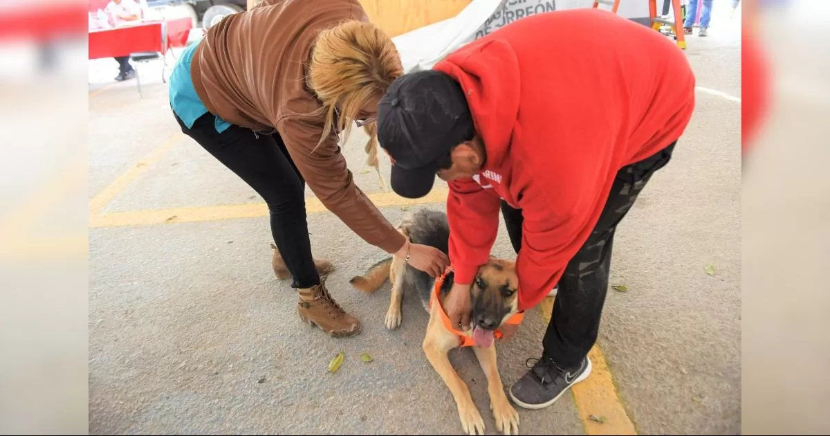 Piden autoridades de Torreón atender tema de salud animal