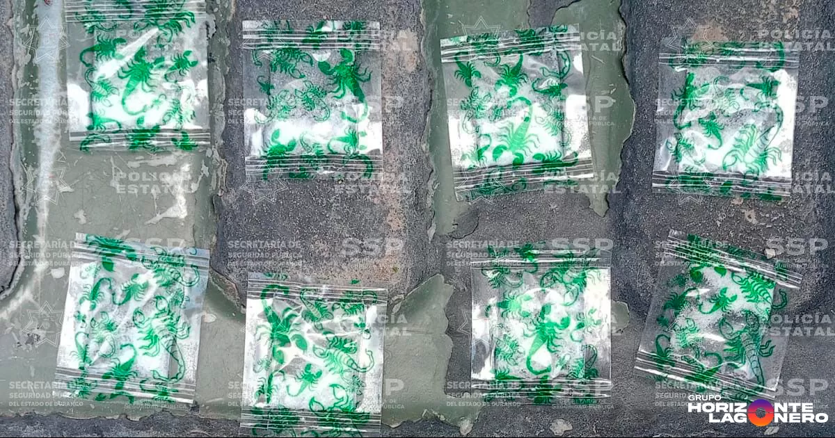 El hallazgo se dio luego de que los agentes detectaron a un individuo que, al notar la presencia de las unidades oficiales, adoptó una actitud evasiva, arrojó una mochila al suelo y emprendió la huida, logrando escapar.